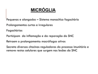 Pequenas e alongadas – Sistema monocitico fagocitário
Prolongamentos curtos e irregulares
Fagocitárias
Participam da inflamação e da reparação do SNC
Retraem o prolongamento: macrófagos ativos
Secreta diversas citocinas reguladoras do processo imunitário e
remove restos celulares que surgem nas lesões do SNC
MICRÓGLIA
 
