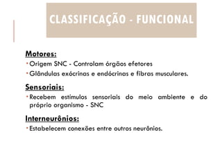 CLASSIFICAÇÃO - FUNCIONAL
Motores:
 Origem SNC - Controlam órgãos efetores
 Glândulas exócrinas e endócrinas e fibras musculares.
Sensoriais:
 Recebem estímulos sensoriais do meio ambiente e do
próprio organismo - SNC
Interneurônios:
 Estabelecem conexões entre outros neurônios.
 
