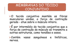 ➢O tecido conjuntivo mantém as fibras
musculares unidas, a força de contração
gerada - atue sobre o músculo inteiro.
➢É por intermédio do tecido conjuntivo que a
força de contração do músculo se transmite a
outras estruturas, como tendões e ossos.
➢Contém vasos sanguíneos e linfáticos,
nervos.
MEMBRANAS DO TECIDO
CONJUNTIVO
 