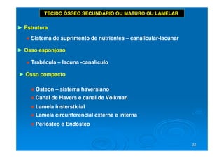 32
32
► Estrutura
● Sistema de suprimento de nutrientes – canalicular-lacunar
► Osso esponjoso
● Trabécula – lacuna -canalículo
► Osso compacto
● Ósteon – sistema haversiano
● Canal de Havers e canal de Volkman
● Lamela instersticial
● Lamela circunferencial externa e interna
● Periósteo e Endósteo
TECIDO ÓSSEO SECUNDÁRIO OU MATURO OU LAMELAR
 