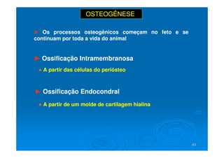 41
41
OSTEOGÊNESE
► Os processos osteogênicos começam no feto e se
continuam por toda a vida do animal
► Ossificação Intramembranosa
► Ossificação Endocondral
● A partir das células do periósteo
● A partir de um molde de cartilagem hialina
 