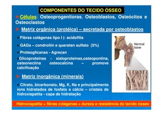 7
7
COMPONENTES DO TECIDO ÓSSEO
► Matriz orgânica (protéica) – secretada por osteoblastos
► Matriz inorgânica (minerais)
♦ Citrato, bicarbonato, Mg, K, Na e principalmente
íons hidratados de fosfato e cálcio – cristais de
hidroxiapatita - capa de hidratação
♦ Fibras colágenas tipo I (- acidofilia
♦Glicoproteínas - sialoproteínas,osteopontina,
osteonectina osteocalcina – promove
calcificação
♦ GAGs – condroitin e queratan sulfato (5%)
Hidroxiapatita + fibras colágenas = dureza e resistência do tecido ósseo
►Células: Osteoprogenitoras, Osteoblastos, Osteócitos e
Osteoclastos
♦ Proteoglicanas - Agrecan
 