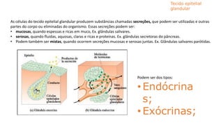 As células do tecido epitelial glandular produzem substâncias chamadas secreções, que podem ser utilizadas e outras
partes do corpo ou eliminadas do organismo. Essas secreções podem ser:
• mucosas, quando espessas e ricas em muco, Ex. glândulas salivares.
• serosas, quando fluidas, aquosas, claras e ricas e proteínas. Ex. glândulas secretoras do pâncreas.
• Podem também ser mistas, quando ocorrem secreções mucosas e serosas juntas. Ex. Glândulas salivares parótidas.
Tecido epitelial
glandular
Podem ser dos tipos:
• Endócrina
s;
• Exócrinas;
 