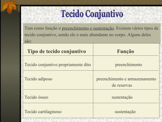 Tecido Conjuntivo Tem como função o  preenchimento e sustentação . Existem vários tipos de tecido conjuntivo, sendo ele o mais abundante no corpo. Alguns deles são: Tipo de tecido conjuntivo  Função Tecido conjuntivo propriamente dito   preenchimento   Tecido adiposo  preenchimento e armazenamento de reservas   Tecido ósseo  sustentação  Tecido cartilaginoso  sustentação   