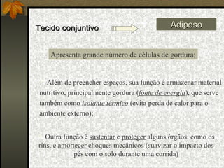 Tecido conjuntivo Adiposo Outra função é  sustentar  e  proteger  alguns órgãos, como os rins, e  amortecer  choques mecânicos (suavizar o impacto dos pés com o solo durante uma corrida) Apresenta grande número de células de gordura; Além de preencher espaços, sua função é armazenar material nutritivo, principalmente gordura ( fonte de energia ), que serve também como  isolante térmico  (evita perda de calor para o ambiente externo); 
