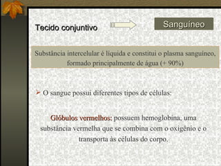 Tecido conjuntivo Sanguíneo Substância intercelular é líquida e constitui o plasma sanguíneo, formado principalmente de água (+ 90%) O sangue possui diferentes tipos de células: Glóbulos vermelhos:  possuem hemoglobina, uma substância vermelha que se combina com o oxigênio e o transporta às células do corpo. 