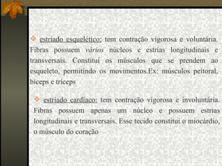 estriado esquelético:  tem contração vigorosa e voluntária. Fibras possuem  vários  núcleos e estrias longitudinais e transversais. Constitui os músculos que se prendem ao esqueleto, permitindo os movimentos.Ex: músculos peitoral, bíceps e tríceps estriado cardíaco:  tem contração vigorosa e involuntária. Fibras possuem apenas um núcleo e possuem estrias longitudinais e transversais. Esse tecido constitui o miocárdio, o músculo do coração  