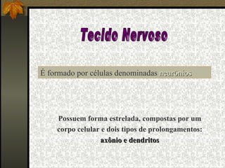 Tecido Nervoso É formado por células denominadas  neurônios Possuem forma estrelada, compostas por um corpo celular e dois tipos de prolongamentos:  axônio e dendritos 