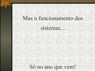 Mas o funcionamento dos sistemas... Só no ano que vem! 