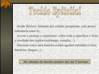 Tecido Epitelial tecido flexível, formado por células justapostas, com pouca substância entre si; reveste e protege o organismo: cobre toda a superfície e forra a cavidade dos órgãos (estômago, coração,...) funciona como uma barreira contra agentes estranhos (vírus, bactérias, fungos,...) As células do tecido podem ser de 3 formas:  