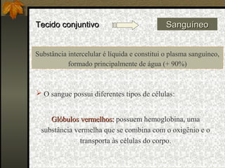Tecido conjuntivo                             Sanguíneo


Substância intercelular é líquida e constitui o plasma sanguíneo,
           formado principalmente de água (+ 90%)



 O sangue possui diferentes tipos de células:


     Glóbulos vermelhos: possuem hemoglobina, uma
  substância vermelha que se combina com o oxigênio e o
               transporta às células do corpo.
 