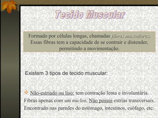 Formado por células longas, chamadas fibras musculares.
                                                 musculares
   Essas fibras tem a capacidade de se contrair e distender,
                 permitindo a movimentação.



Existem 3 tipos de tecido muscular:


 Não-estriado ou liso: tem contração lenta e involuntária.
Fibras apenas com um núcleo. Não possui estrias transversais.
Encontrado nas paredes do estômago, intestinos, esôfago, etc.
 