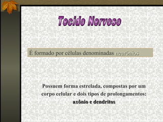É formado por células denominadas neurônios




    Possuem forma estrelada, compostas por um
    corpo celular e dois tipos de prolongamentos:
                 axônio e dendritos
 