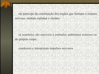  ele participa da constituição dos órgãos que formam o sistema
nervoso: medula espinhal e cérebro




 os neurônios são sensíveis a estímulos ambientais externos ou
do próprio corpo.

 conduzem e interpretam impulsos nervosos
 