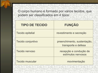 O corpo humano é formado por vários tecidos, que
 podem ser classificados em 4 tipos:


    TIPO DE TECIDO              FUNÇÃO

Tecido epitelial          revestimento e secreção


Tecido conjuntivo         preenchimento, sustentação,
                              transporte e defesa

Tecido nervoso              recepção e condução de
                               estímulos nervosos

Tecido muscular                   movimentação
 