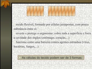  tecido flexível, formado por células justapostas, com pouca
substância entre si;
 reveste e protege o organismo: cobre toda a superfície e forra
a cavidade dos órgãos (estômago, coração,...)
 funciona como uma barreira contra agentes estranhos (vírus,
bactérias, fungos,...)


     As células do tecido podem ser de 3 formas:
 