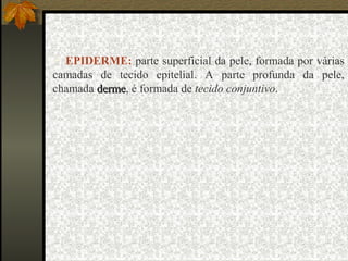  EPIDERME: parte superficial da pele, formada por várias
camadas de tecido epitelial. A parte profunda da pele,
chamada derme, é formada de tecido conjuntivo.
        derme
 