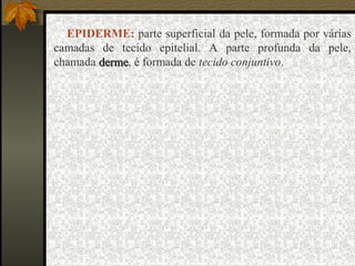  EPIDERME: parte superficial da pele, formada por várias
camadas de tecido epitelial. A parte profunda da pele,
chamada dermederme, é formada de tecido conjuntivo.
 