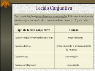 Tem como função o preenchimento e sustentação. Existem vários tipos de
tecido conjuntivo, sendo ele o mais abundante no corpo. Alguns deles
são:
Tipo de tecido conjuntivo Função
Tecido conjuntivo propriamente dito preenchimento
Tecido adiposo preenchimento e armazenamento
de reservas
Tecido ósseo sustentação
Tecido cartilaginoso sustentação
 