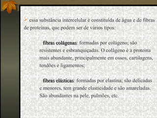  essa substância intercelular é constituída de água e de fibras
de proteínas, que podem ser de vários tipos:
• fibras colágenasfibras colágenas: formadas por colágeno; são
resistentes e esbranquiçadas. O colágeno é a proteína
mais abundante, principalmente em ossos, cartilagens,
tendões e ligamentos;
• fibras elásticasfibras elásticas: formadas por elastina; são delicadas
e menores, tem grande elasticidade e são amareladas.
São abundantes na pele, pulmões, etc.
 