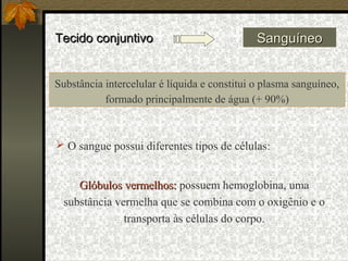 Tecido conjuntivoTecido conjuntivo SanguíneoSanguíneo
Substância intercelular é líquida e constitui o plasma sanguíneo,
formado principalmente de água (+ 90%)
 O sangue possui diferentes tipos de células:
Glóbulos vermelhos:Glóbulos vermelhos: possuem hemoglobina, uma
substância vermelha que se combina com o oxigênio e o
transporta às células do corpo.
 