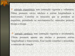  estriado esquelético: tem contração vigorosa e voluntária.
Fibras possuem vários núcleos e estrias longitudinais e
transversais. Constitui os músculos que se prendem ao
esqueleto, permitindo os movimentos.Ex: músculos peitoral,
bíceps e tríceps
 estriado cardíaco: tem contração vigorosa e involuntária.
Fibras possuem apenas um núcleo e possuem estrias
longitudinais e transversais. Esse tecido constitui o miocárdio,
o músculo do coração
 