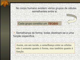  No corpo humano existem vários grupos de células
semelhantes entre si.
Cada grupo constitui um TECIDOTECIDO
 Semelhança de forma: todas destinam-se a uma
função específica.
Assim, em um tecido, a semelhança entre as células
não é somente quanto à forma, mas também quanto à
função.
 