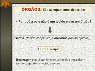 ÓRGÃOS: São agrupamentos de tecidos
 Por quê a pele não é um tecido e sim um órgão?
Estômago =Estômago = possui tecido epitelial+ tecido muscular +
tecido conjuntivo + tecido nervoso
Outro Exemplo:
DermeDerme (tecido conjuntivo)e epidermeepiderme (tecido epitelial)
 