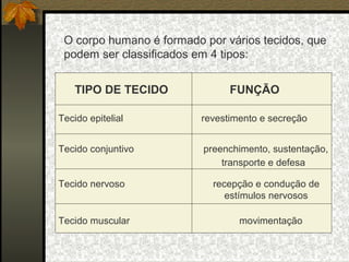 O corpo humano é formado por vários tecidos, que
podem ser classificados em 4 tipos:
TIPO DE TECIDO FUNÇÃO
Tecido epitelial revestimento e secreção
Tecido conjuntivo preenchimento, sustentação,
transporte e defesa
Tecido nervoso recepção e condução de
estímulos nervosos
Tecido muscular movimentação
 
