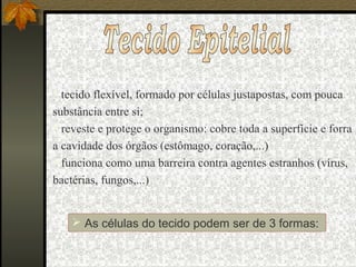  tecido flexível, formado por células justapostas, com pouca
substância entre si;
 reveste e protege o organismo: cobre toda a superfície e forra
a cavidade dos órgãos (estômago, coração,...)
 funciona como uma barreira contra agentes estranhos (vírus,
bactérias, fungos,...)
 As células do tecido podem ser de 3 formas:
 