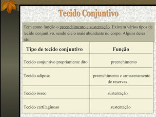 Tecido Conjuntivo Tem como função o  preenchimento e sustentação . Existem vários tipos de tecido conjuntivo, sendo ele o mais abundante no corpo. Alguns deles são: Tipo de tecido conjuntivo  Função Tecido conjuntivo propriamente dito   preenchimento   Tecido adiposo  preenchimento e armazenamento de reservas   Tecido ósseo  sustentação  Tecido cartilaginoso  sustentação   
