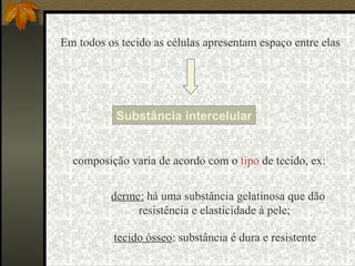 composição varia de acordo com o  tipo  de tecido, ex: Em todos os tecido as células apresentam espaço entre elas Substância intercelular derme:  há uma substância gelatinosa que dão resistência e elasticidade à pele; tecido ósseo : substância é dura e resistente 
