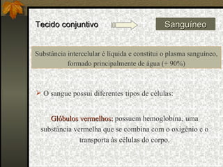 Tecido conjuntivo Sanguíneo Substância intercelular é líquida e constitui o plasma sanguíneo, formado principalmente de água (+ 90%) O sangue possui diferentes tipos de células: Glóbulos vermelhos:  possuem hemoglobina, uma substância vermelha que se combina com o oxigênio e o transporta às células do corpo. 
