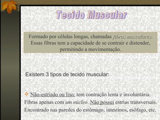 Tecido Muscular Formado por células longas, chamadas  fibras musculares . Essas fibras tem a capacidade de se contrair e distender, permitindo a movimentação. Existem 3 tipos de tecido muscular: Não-estriado ou liso:  tem contração lenta e involuntária. Fibras apenas com  um núcleo .  Não possui  estrias transversais. Encontrado nas paredes do estômago, intestinos, esôfago, etc.  