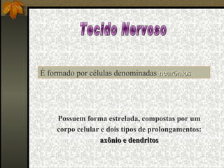 Tecido Nervoso É formado por células denominadas  neurônios Possuem forma estrelada, compostas por um corpo celular e dois tipos de prolongamentos:  axônio e dendritos 
