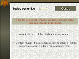 Tecido conjuntivo Ósseo Contém muitas  fibras colágenas  e  sais de cálcio  e  fósforo , que proporcionam rigidez e resistência aos ossos. É um dos tecidos que formam o esqueleto de nosso corpo, tendo como função a sustentação. substância intercelular sólida, dura e resistente. 