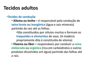 Tecidos adultos
•Tecidos de condução
• Xilema ou lenho – é responsável pela condução de
seiva bruta ou inorgânica (água e sais minerais)
partindo da raiz até as folhas.
•São constituídos por células mortas e formam os
traqueídes e elementos de vaso. (A madeira
propriamente dita é constituída de xilema)
• Floema ou líber – responsáveis por conduzir a seiva
elaborada ou orgânica (rica em carboidratos e outros
produtos dissolvidos em água) partindo das folhas até
a raiz.
 