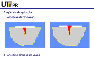 S eqüência de aplicação: 
4- Aplicação do revelador. 
5- Análise e emissão de Laudo 
 