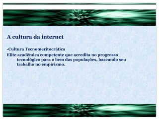 A cultura da internet -Cultura Tecnomeritocrática Elite acadêmica competente que acredita no progresso tecnológico para o bem das populações, baseando seu trabalho no empirismo. 