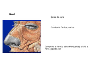 Nasal
Eminência Canina; narina
Dorso do nariz
Comprime a narina( parte transversa); dilata a
narina (parte alar
 