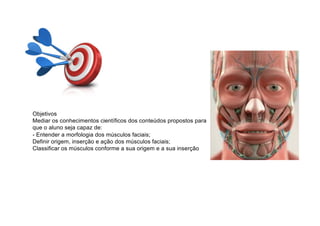 Objetivos
Mediar os conhecimentos científicos dos conteúdos propostos para
que o aluno seja capaz de:
- Entender a morfologia dos músculos faciais;
Definir origem, inserção e ação dos músculos faciais;
Classificar os músculos conforme a sua origem e a sua inserção
 