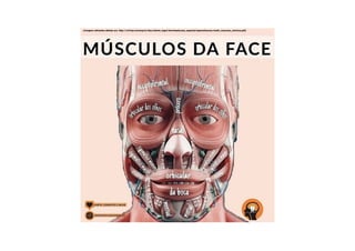 (Imagens utilizadas obtidas em: http://w2.fop.unicamp.br/dos/odonto_legal/downloads/pos_especial/especializacao/mod3_musculos_mimicos.pdf)
 