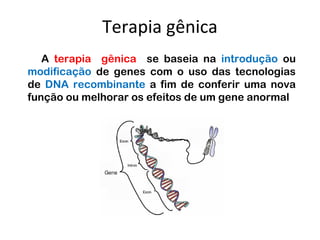 Terapia gênica
   A terapia gênica se baseia na introdução ou
modificação de genes com o uso das tecnologias
de DNA recombinante a fim de conferir uma nova
função ou melhorar os efeitos de um gene anormal
 