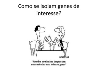 Como se isolam genes de
      interesse?
 