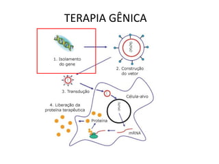 TERAPIA GÊNICA
 