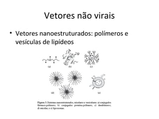 Vetores não virais
• Vetores nanoestruturados: polímeros e
  vesículas de lipídeos
 