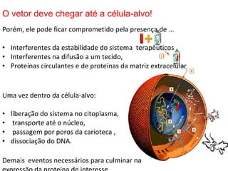 O vetor deve chegar até a célula-alvo!
Porém, ele pode ficar comprometido pela presença de ...

• Interferentes da estabilidade do sistema terapêuticos
• Interferentes na difusão a um tecido,
• Proteínas circulantes e de proteínas da matriz extracelular


Uma vez dentro da célula-alvo:

•   liberação do sistema no citoplasma,
•    transporte até o núcleo,
•    passagem por poros da carioteca ,
•   dissociação do DNA.

Demais eventos necessários para culminar na
 