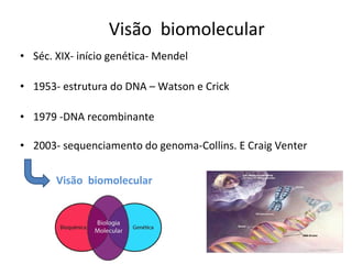 Visão biomolecular
• Séc. XIX- início genética- Mendel

• 1953- estrutura do DNA – Watson e Crick

• 1979 -DNA recombinante

• 2003- sequenciamento do genoma-Collins. E Craig Venter

       Visão biomolecular
 