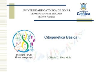 UNIVERSIDADE CATÓLICA DE GOIÁS
DEPARTAMENTO DE BIOLOGIA
BIO2040 - Genética
Citogenética Básica
Cláudio C. Silva, M.Sc.
 