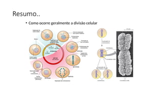 Aula_Terica_11_-_Ciclo_Celular: modo de reprodução das celulas | PPTX